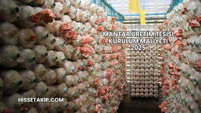 Mantar Üretim Tesisi Kurulum Maliyeti 2025