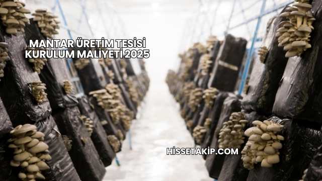 Mantar Üretim Tesisi Kurulum Maliyeti 2025