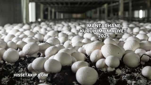 Mantarhane Kurulumu Maliyeti 2025