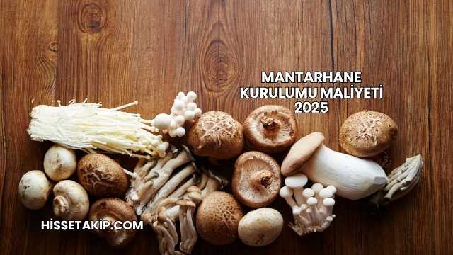 Mantarhane Kurulumu Maliyeti 2025