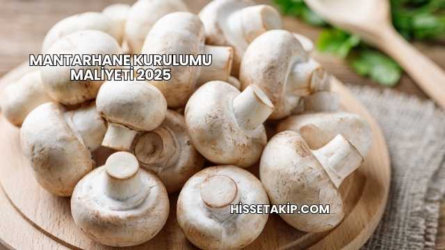 Mantarhane Kurulumu Maliyeti 2025