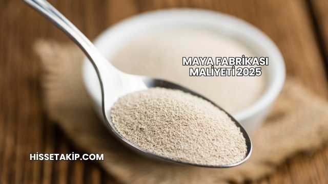 Maya Fabrikası Maliyeti 2025