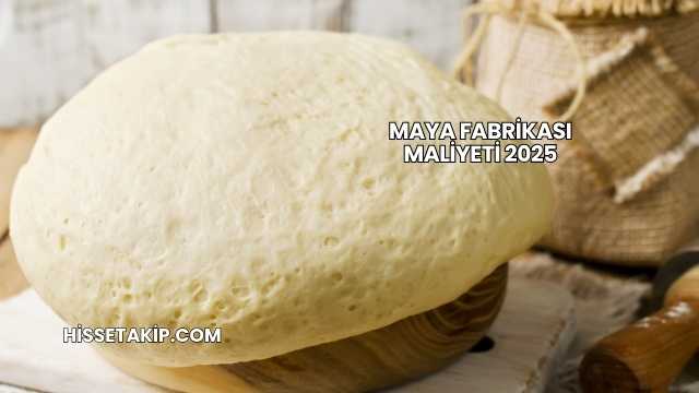 Maya Fabrikası Maliyeti 2025