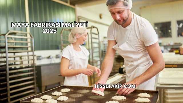 Maya Fabrikası Maliyeti 2025