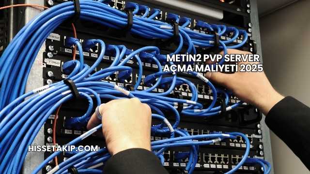 Metin2 PVP Server Açma Maliyeti 2025
