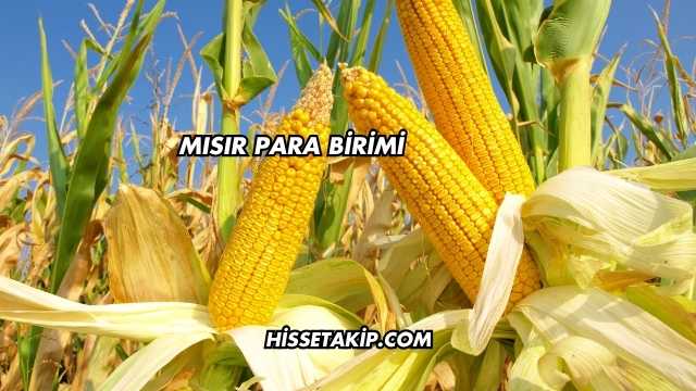 Mısır Para Birimi