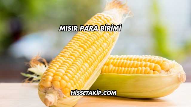 Mısır Para Birimi