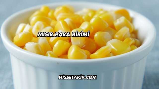 Mısır Para Birimi