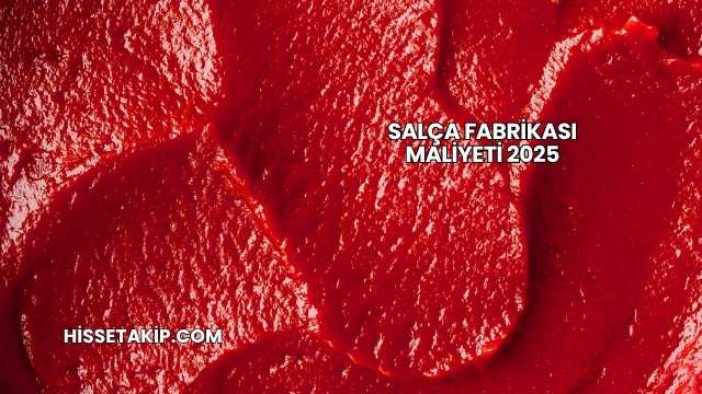 Salça Fabrikası Maliyeti 2025