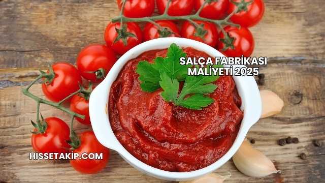 Salça Fabrikası Maliyeti 2025