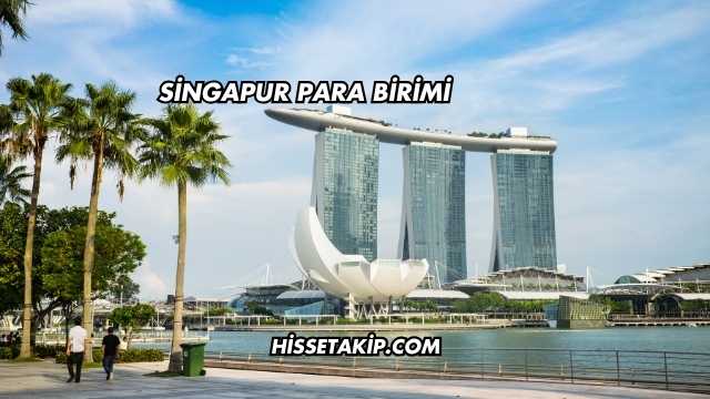 Singapur Para Birimi