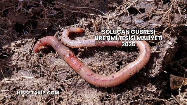 Solucan Gübresi Üretimi Tesisi Maliyeti 2025
