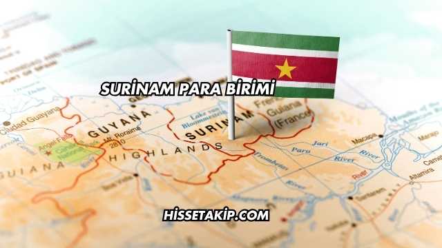 Surinam Para Birimi