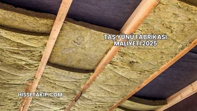 Taş Yünü Fabrikası Maliyeti 2025