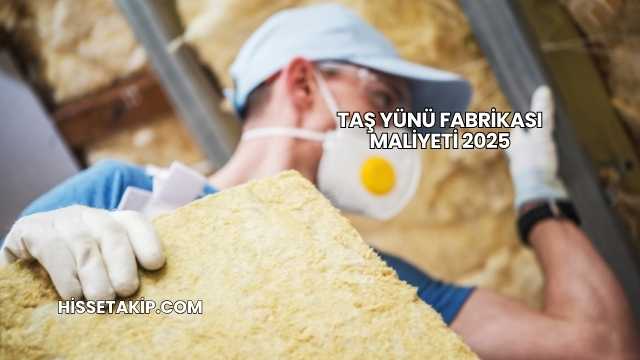 Taş Yünü Fabrikası Maliyeti 2025