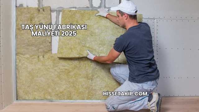 Taş Yünü Fabrikası Maliyeti 2025
