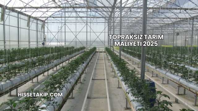 Topraksız Tarım Maliyeti 2025