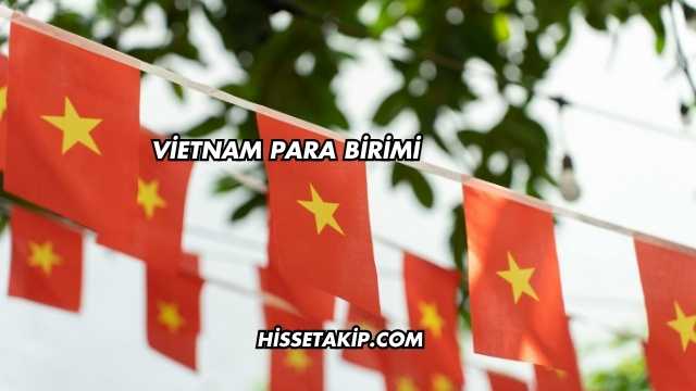 Vietnam Para Birimi