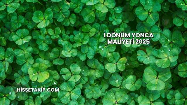 1 Dönüm Yonca Maliyeti 2025