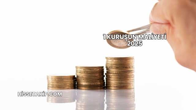 1 Kuruşun Maliyeti 2025
