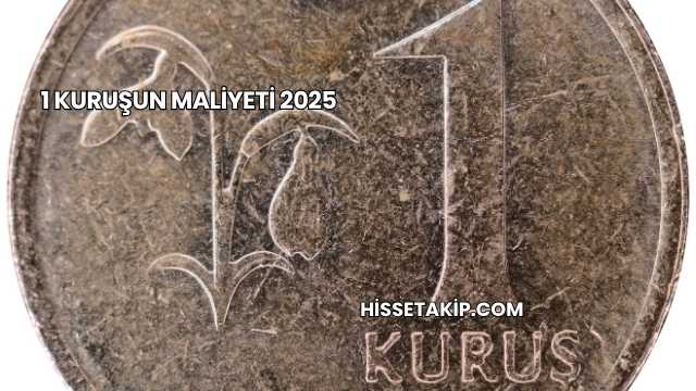 1 Kuruşun Maliyeti 2025