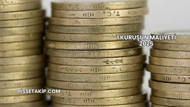 1 Kuruşun Maliyeti 2025