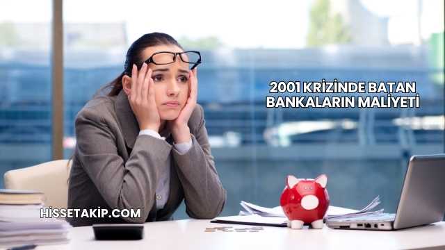 2001 Krizinde Batan Bankaların Maliyeti