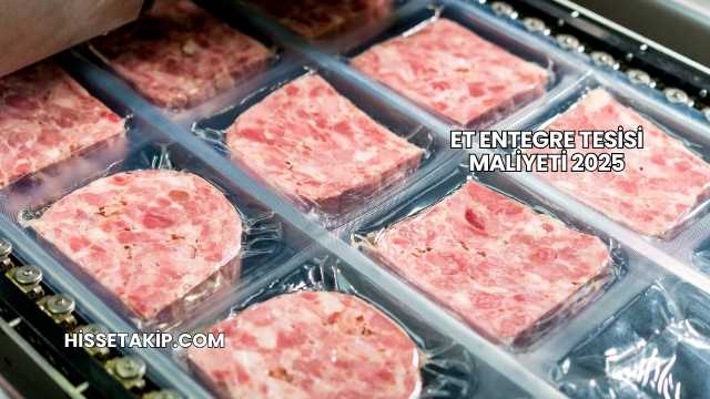 Et Entegre Tesisi Maliyeti 2025