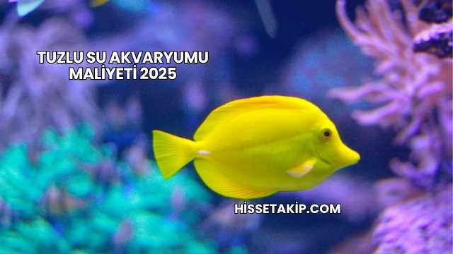 Tuzlu Su Akvaryumu Maliyeti 2025