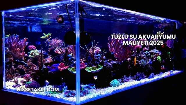 Tuzlu Su Akvaryumu Maliyeti 2025