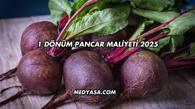 1 Dönüm Pancar Maliyeti 2025